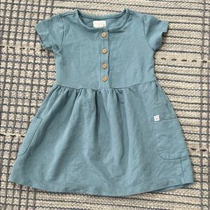 Carters Little Planet Organic Cotton Dress